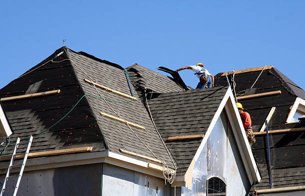 Best New Roof Installation  in Braska City, NE