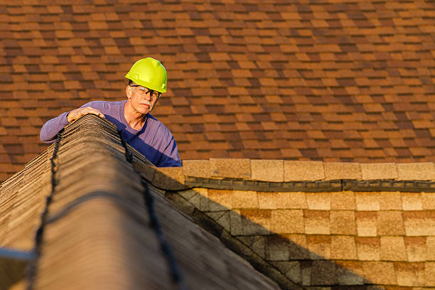Best Residential Roofing Contractor  in Braska City, NE