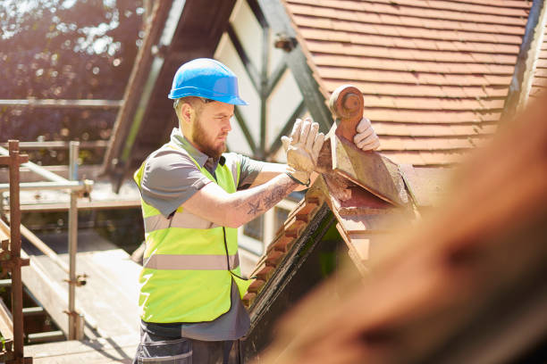 Best Commercial Roofing Services  in Braska City, NE